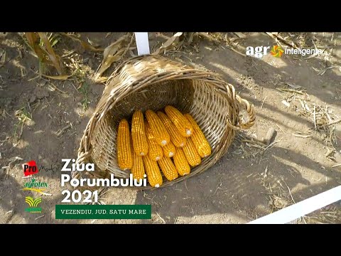 Ziua Porumbului 2021 de la Vezendiu, jud. Satu Mare