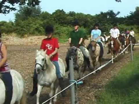 Video 10 aus  Ferienhof Thomsen