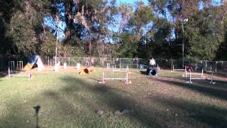 Cody Week 3 Sequence 2b