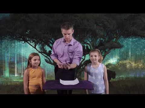 Saturn Magic - Multiverse of Magic Set (Black Panther) by Fantasma Magic - Trick