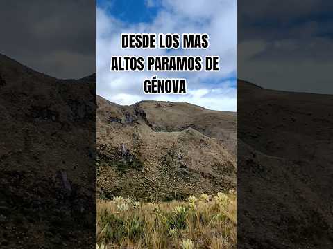 desde los más  ALTOS páramos de Génova Quindío