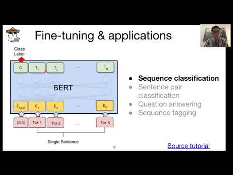 Yury Kashnitsky: Firing a cannon at sparrows: BERT vs. logreg