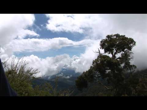 LA AMISTAD NATIONAL PARK - Panama/Costa Rica