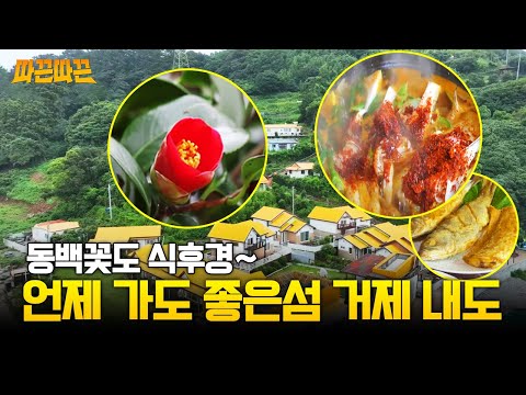 동백꽃도 식후경~! 거제4경이 다 보이는 거제 내도 썸네일