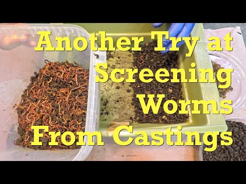 Try #2 to screen worms from castings & launch breeder buckets - vermicompost