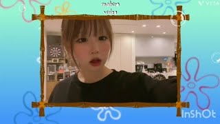 JKの可愛いウサちゃん❤Tiktok動画ミッフィー可愛いウサちゃん踊ったよ！ #チクタク#ティック曲#tiktokダンス#tiktokかわいい