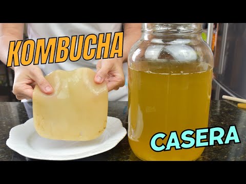 Cómo hago KOMBUCHA en casa