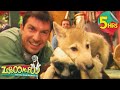 5 Hour Zoboomafoo Compilation Fierce Creatures Full Episodes For Kids