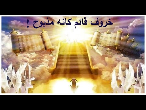 خروف قائم كأنه مذبوح