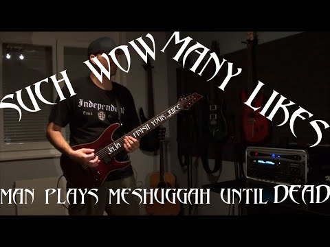 Catch Thirtythree - Meshuggah cover