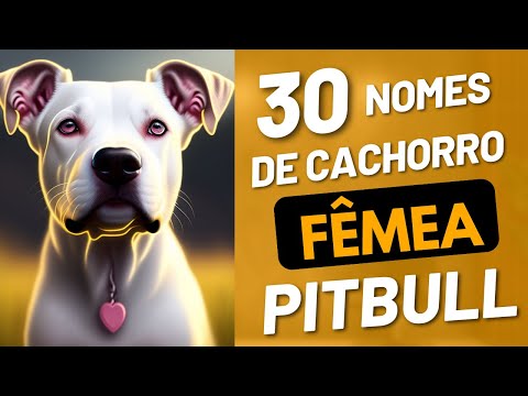 Nomes de cachorro FÊMEA PITBULL - VOCÊ VAI AMAR!!!