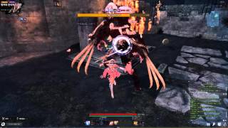 아리샤 부활한 블러드로드 노피격 솔플