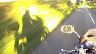 preview picture of video 'Sunlight & Shadows - an evening ride out'