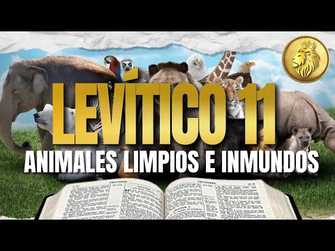 EXPLICACION LEVITICO 11 #biblia
