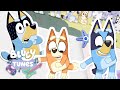 Who Likes To Dance Music Video NEW Bluey Tunes Dance With Bluey Bluey
