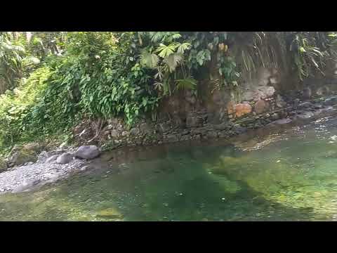 chascos mutata 2 piedras blancas