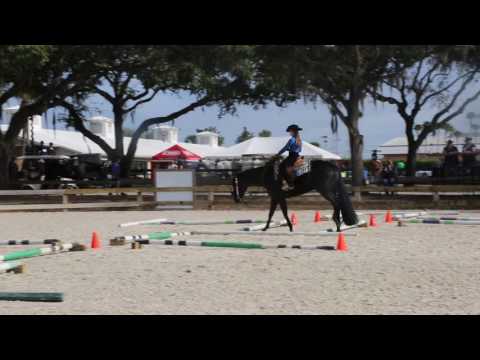 Tatum Richey and Ode To Zippo Florida Gulf Coast 2017