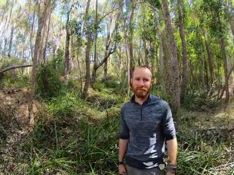 How Adrien got hooked on rewilding