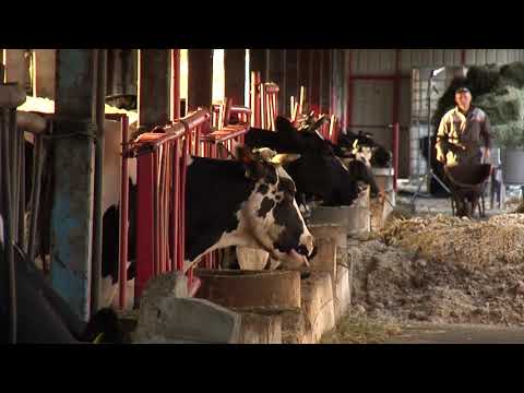 Reč struke ep. 228 18.12.2018. NAJAVA