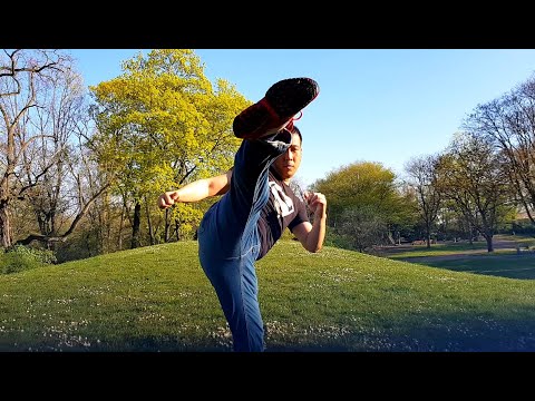 LET'S LEARN KARATE with Ryan Hayashi #3 - Beginners Training At Home