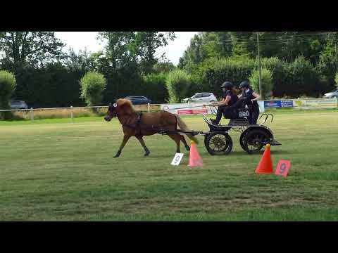 Fahrturnier Dörenthe 12.6.2022