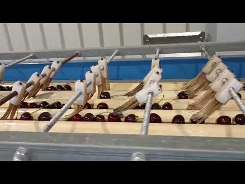 Mașina de sortat cireșe (obstahof satler 🍒🍒 GERMANIA