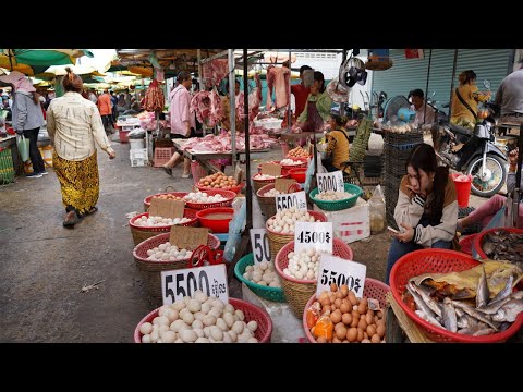 Compilation Food Market in Phnom Penh - Rural Small Fish, Pork, Beef, Fresh Vegetable & More Seafood