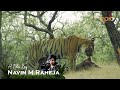 Machli Of Ranthambore