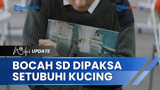 Ridwan Kamil Kecam Pelaku Perundungan Bocah SD Tasikmalaya yang Paksa Setubuhi Kucing hingga Tewas