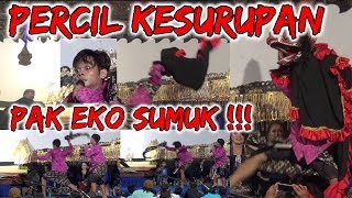 PERCIL Cs - 4 Juli 2018 - Ki Eko - Kaligentong Pucanglaban Tulungagung