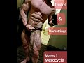 MASSING UP Series: Episode 7- LEG TRAINING week 4