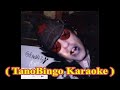 Grandpaboy (Paul Westerberg) - AAA ( TanoBingo Karaoke )