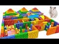 DIY - Build Amazing Pyramid Maze For Cute Hamsters Pet With Magnetic Balls Satisfying - Magnet Balls