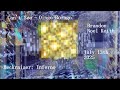 Can't See ~ Oingo Boingo (Music Video)