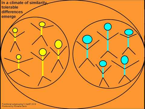 Functional Subgrouping: The core method of Systems-Centered Training (SCT)