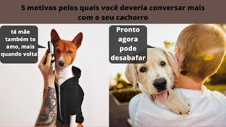 5 motivos pelos quais você deveria conversar mais com o seu cachorro