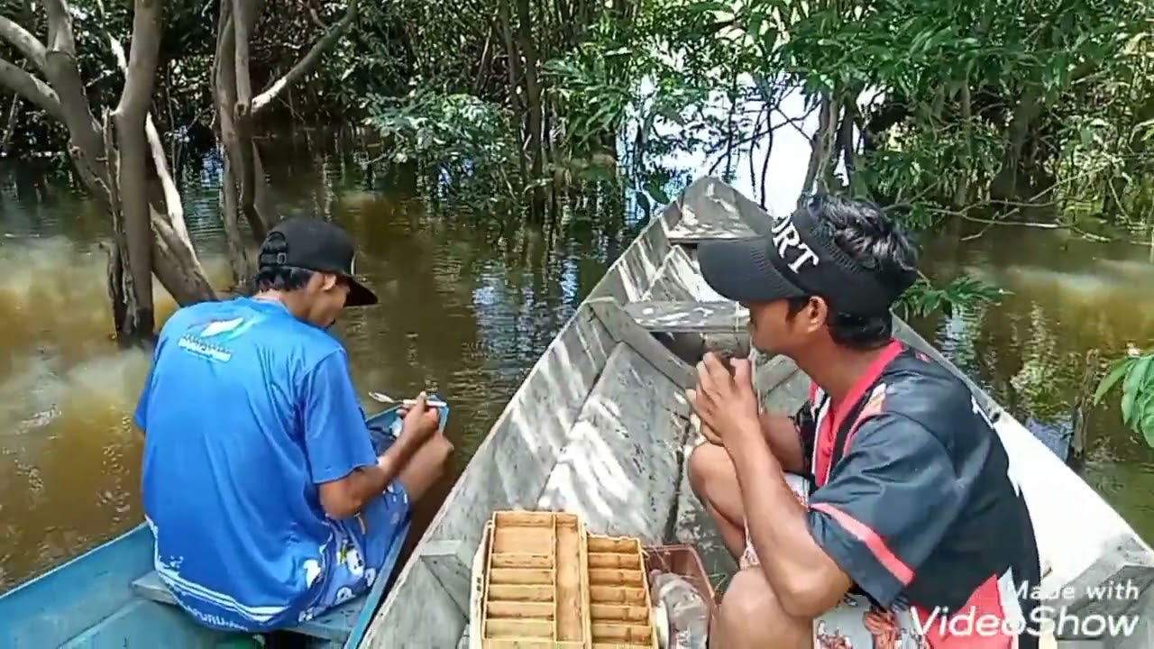 pescaria   no rio manacapuru, Amazonas