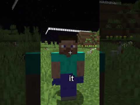 Types of Minecraft Players in SMP