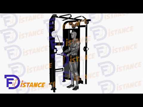 Exercice Extension des triceps avec câble à la poulie