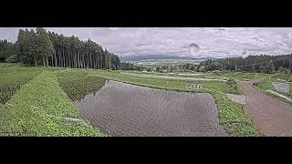 阿蘇水掛の棚田 
