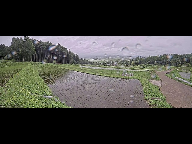 阿蘇水掛の棚田（阿蘇水掛の棚田は熊本県阿蘇市・北外輪山のふもとに広がる約68枚の棚田で、「くまもと名水百選」にも選定された乙川湧水群の豊富な湧き水を活かした水田）