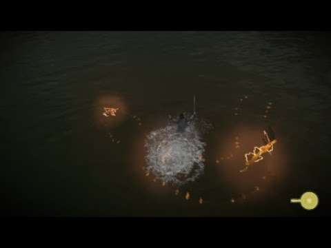 SotC - An Electric Eel