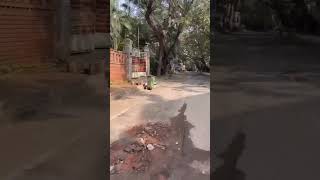 Download lagu Ulaganayagan Kamal Haasan house at Boats Club , Chennai mp3