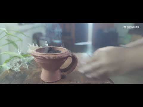 Air Purifier   Indus Herbs Pvt.Ltd