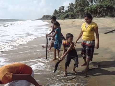 Somathilaka Jayamaha - Sayuru Rala Pela