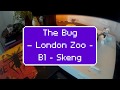 The Bug – London Zoo - B1 - Skeng Feat. Killa P