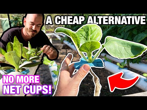 A Cheap Alternative to RockWool and Net Cups