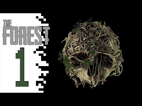 Let's Play The Forest - EP01 - The Crater