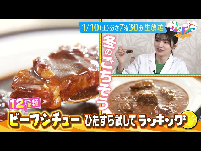 サタプラ【試してビーフシチュー★七福神めぐりで開運祈願★ピザーラ本音ぶっちゃけ】