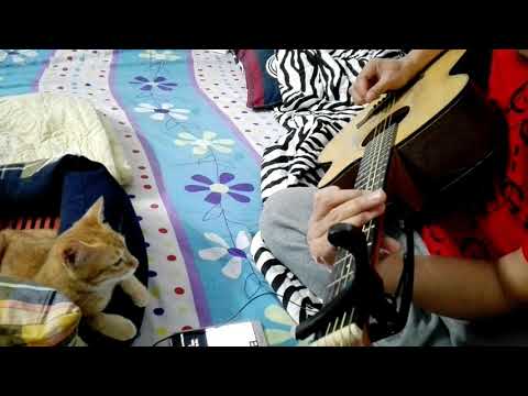 Cat Vester  watching  guitar playing